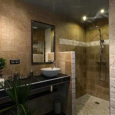Le Vieux Platane 4*