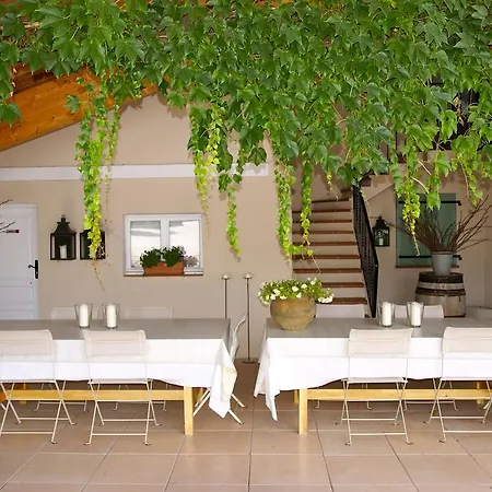 Le Vieux Platane 4* Cairanne