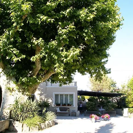 Guest house Le Vieux Platane 4*